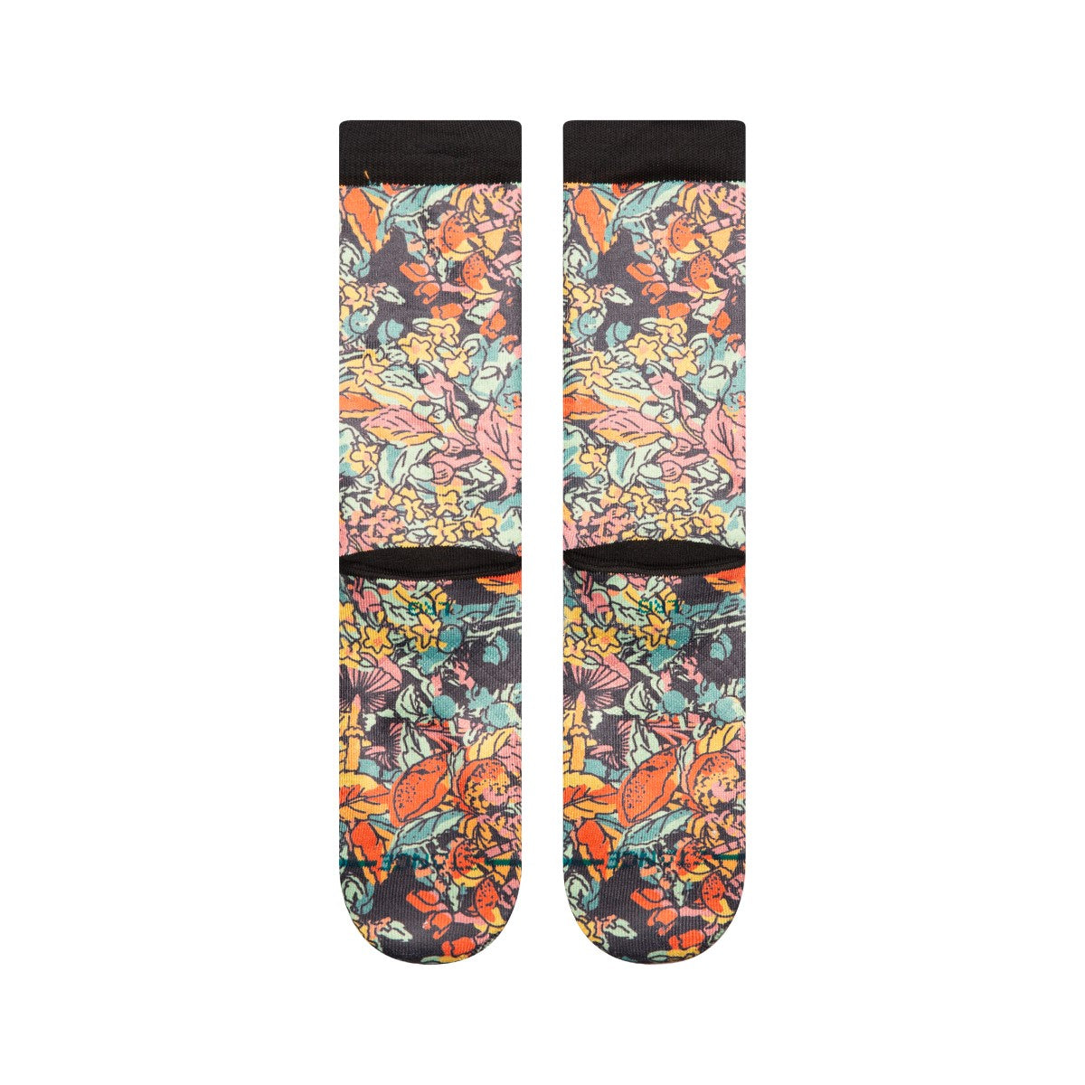 WHIPPLE BOTTOM CREW【UNISEX】