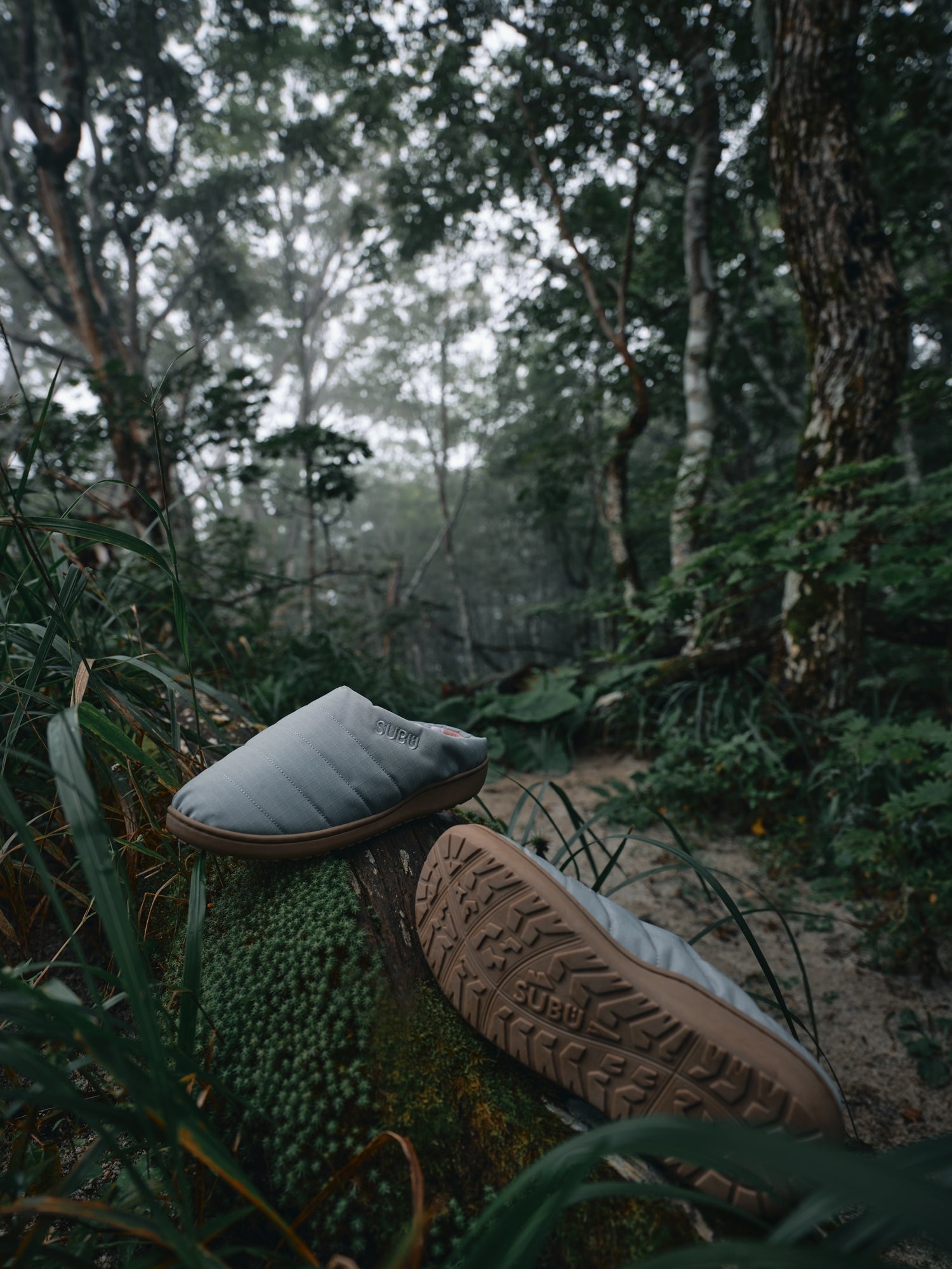 NANNEN Field FAVA BEAN
